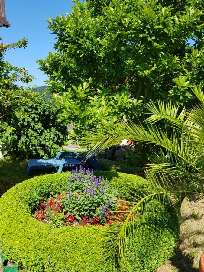 Villa Charlotte Bad Liebenstein Exterior foto